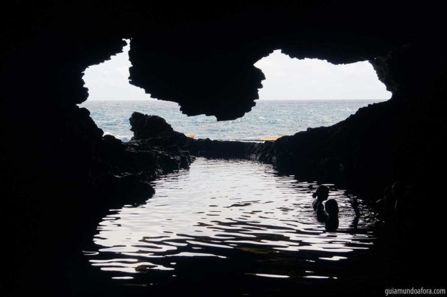Animal Flower Cave no Caribe