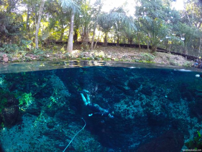 Flutuação em Bonito - Nascente Azul