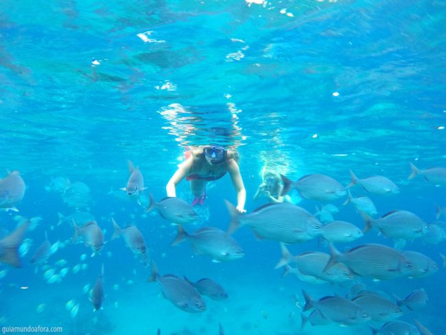Snorkel nas praias em Barbados