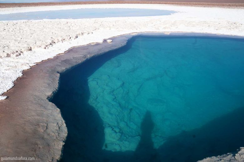 azul-atacama-min-780x519 Lagunas escondidas no Atacama: azul do Caribe no meio do Deserto! azul-atacama-min-780x519 Lagunas escondidas no Atacama: azul do Caribe no meio do Deserto!