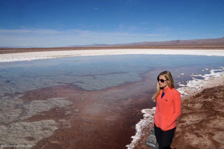 escondidas-lagunas-atacama-min-780x518 Lagunas escondidas no Atacama: azul do Caribe no meio do Deserto! escondidas-lagunas-atacama-min-780x518 Lagunas escondidas no Atacama: azul do Caribe no meio do Deserto!