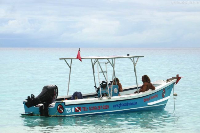 barco-gfish-min-650x432 Snorkel e mergulho em Barbados: fotos que vão te encantar barco-gfish-min-650x432 Snorkel e mergulho em Barbados: fotos que vão te encantar