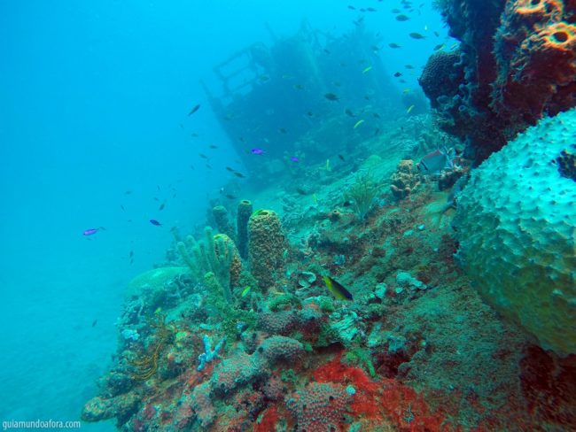 naufragio-min-650x488 Snorkel e mergulho em Barbados: fotos que vão te encantar naufragio-min-650x488 Snorkel e mergulho em Barbados: fotos que vão te encantar