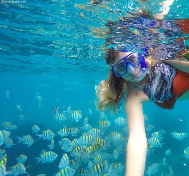 peixes-snorkel-barbados-min-650x605 Snorkel e mergulho em Barbados: fotos que vão te encantar peixes-snorkel-barbados-min-650x605 Snorkel e mergulho em Barbados: fotos que vão te encantar
