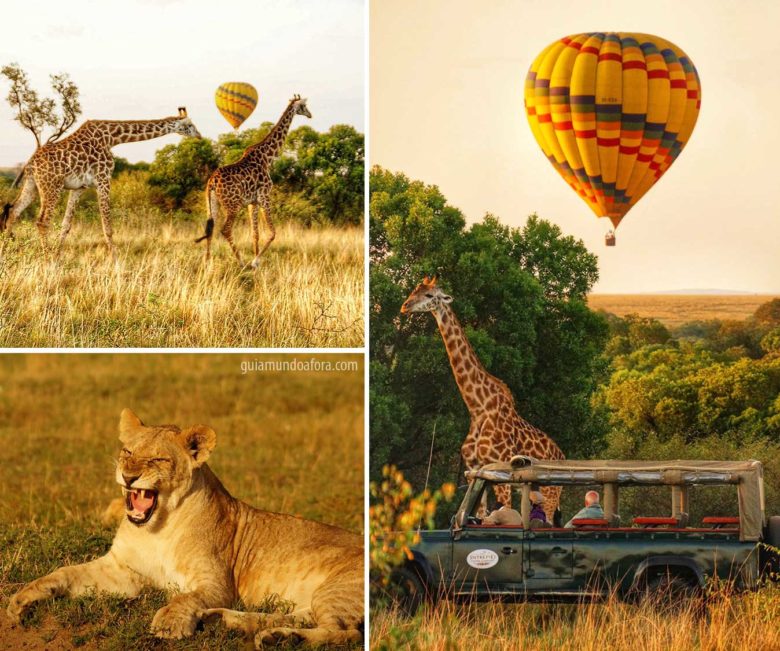 girafas-masai-mara-min-780x651 O primeiro safari na África a gente nunca esquece! girafas-masai-mara-min-780x651 O primeiro safari na África a gente nunca esquece!