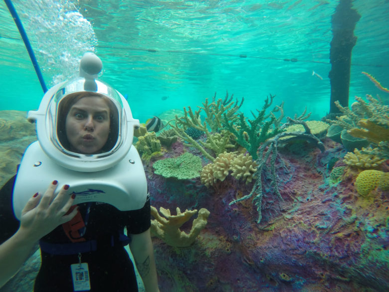 No SeaVenture, no Discovery Cove Orlando
