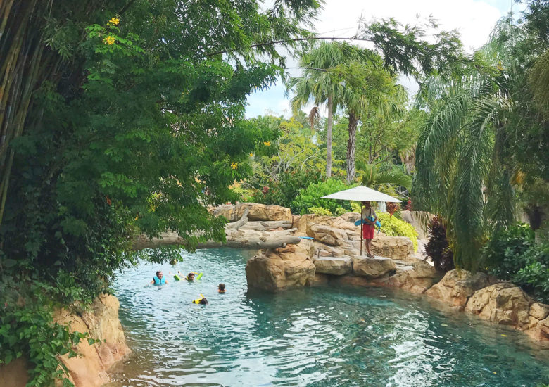 discovery-cove-seaworld-piscina-780x550 Parques da SeaWorld Orlando: dicas para curtir todos (com preços!) discovery-cove-seaworld-piscina-780x550 Parques da SeaWorld Orlando: dicas para curtir todos (com preços!)